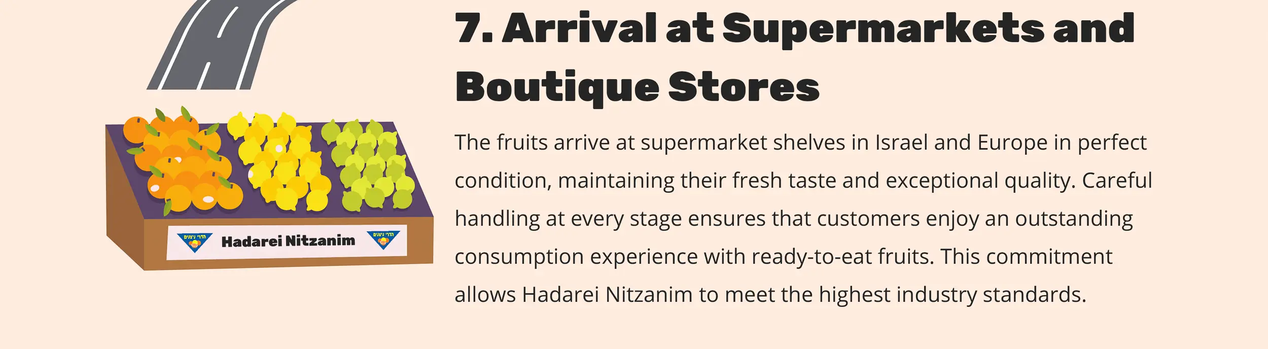 7. Arrival at Supermarkets and Boutique Stores - The fruits arrive at supermarket shelves in Israel and Europe in perfect condition, maintaining their fresh taste and exceptional quality. Careful handling at every stage ensures that customers enjoy an outstanding consumption experience with ready-to-eat fruits. This commitment allows Hadarei Nitzanim to meet the highest industry standards.