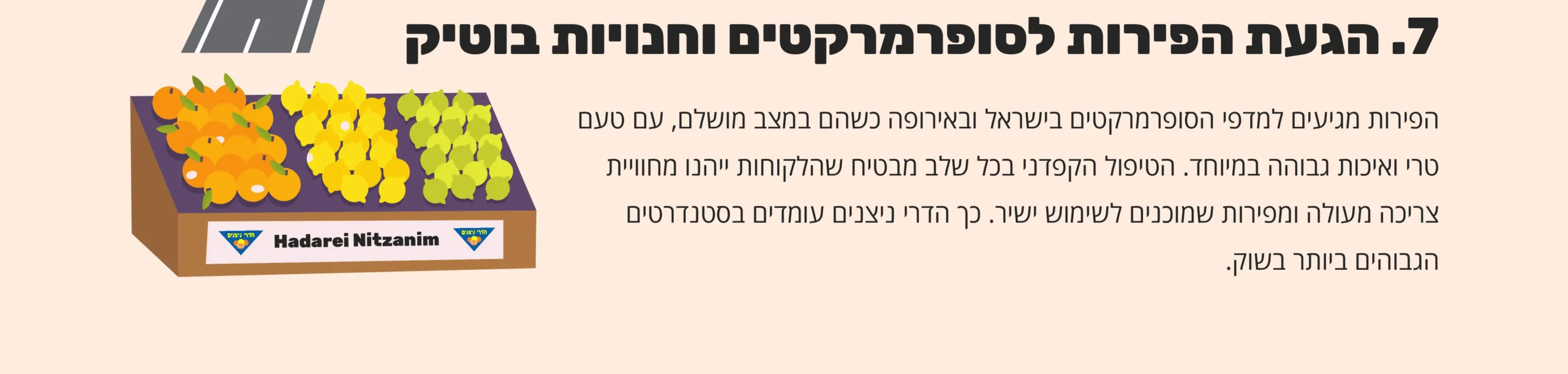 7. הגעת הפירות לסופרמרקטים וחנויות בוטיק - הפירות מגיעים למדפי הסופרמרקטים בישראל ובאירופה כשהם במצב מושלם, עם טעם טרי ואיכות גבוהה במיוחד. הטיפול הקפדני בכל שלב מבטיח שהלקוחות ייהנו מחוויית צריכה מעולה ומפירות שמוכנים לשימוש ישיר. כך הדרי ניצנים עומדים בסטנדרטים הגבוהים ביותר בשוק.